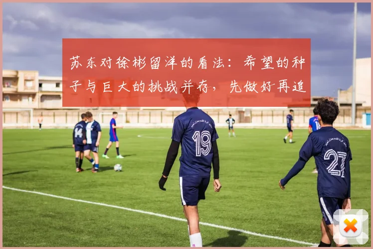 苏东对徐彬留洋的看法：希望的种子与巨大的挑战并存，先做好再追求完美
