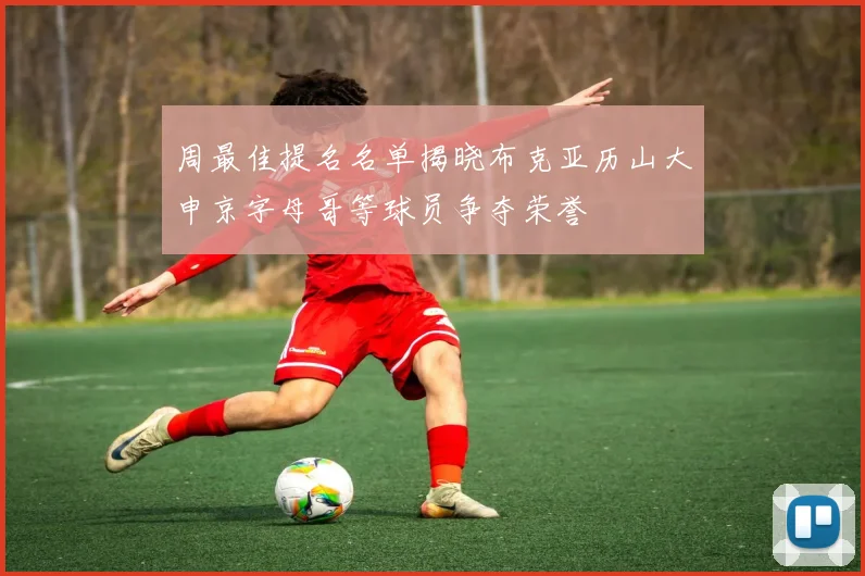 周最佳提名名单揭晓布克亚历山大申京字母哥等球员争夺荣誉