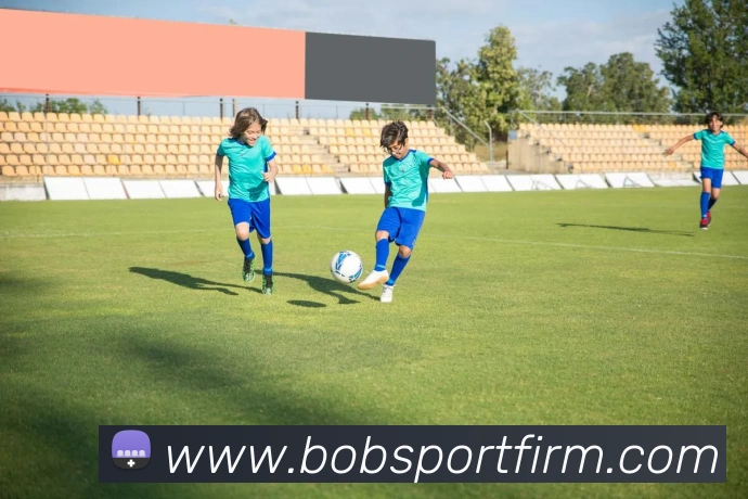 BOB体育APP 封面图