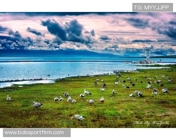 追梦西部挑战虽艰难但我们与湖船携手共创辉煌争夺冠军